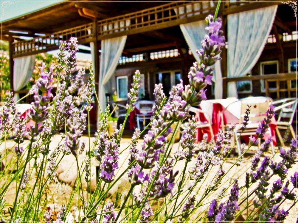 Hotel Miramare Bosa Marina Dış mekan fotoğraf